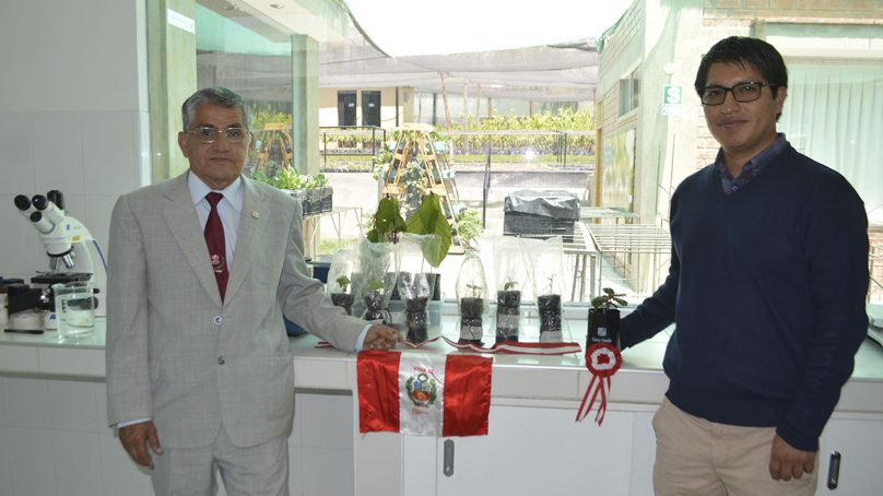 Cerro Verde impulsa recuperación de especies tradicionales de flora en Arequipa