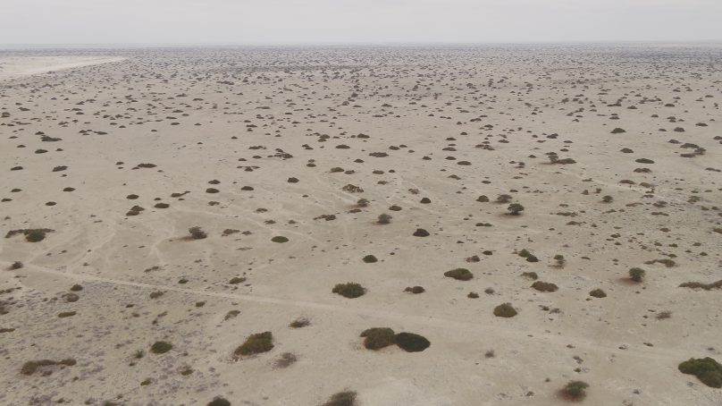 LUPI solar y EMMA eólico: Statkraft Perú adquiere dos proyectos de energía renovable